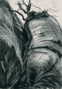 ROCK SKETCH II. Charcoal on paper, 42 x 29.5 mounted, glazed + frame. Private collection